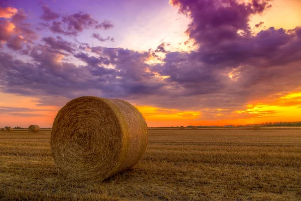 Sunset over farm field with hay bales — Stock Photo, Image