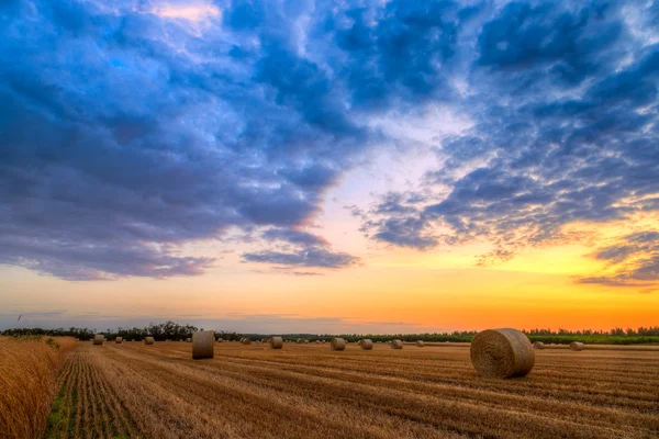 Pôr do sol sobre campo de fazenda com fardos de feno — Fotografia de Stock