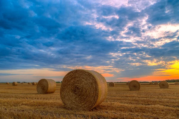 Pôr do sol sobre campo de fazenda com fardos de feno Imagens Royalty-Free