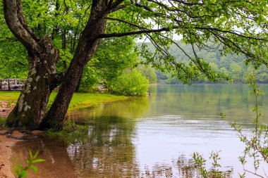 Hırvatistan 'da Plitvice Lakes Ulusal Parkı