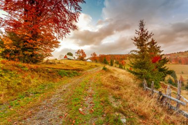 Karpatlar dağ sabah