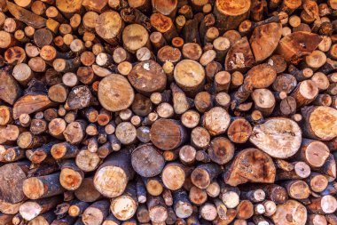 Kuru odun yığını