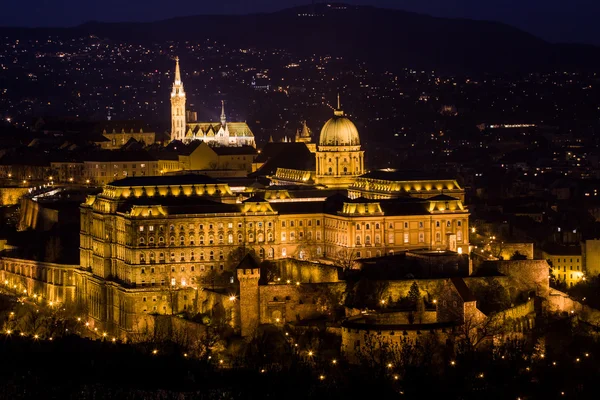 Château de Budapest — Photo