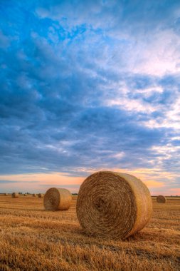 Saman balyalarıyla tarlanın üzerinde gün batımı