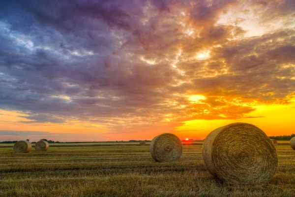 干草の畑の上の夕日 — ストック写真