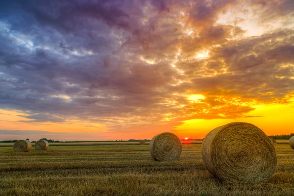 Sunset over farm field with hay bales — Stock Photo, Image