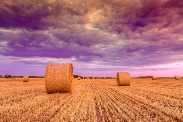 Sunset over farm field with hay bales — Stock Photo, Image