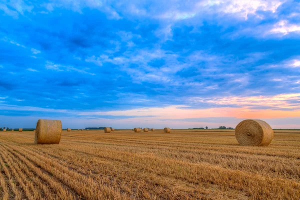 Pôr do sol sobre campo de fazenda com fardos de feno — Fotografia de Stock