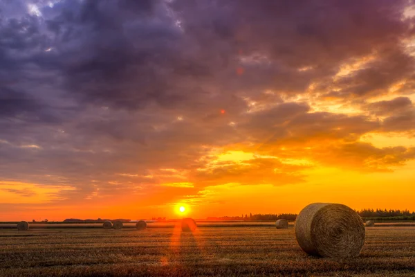 Pôr do sol sobre campo de fazenda com fardos de feno — Fotografia de Stock