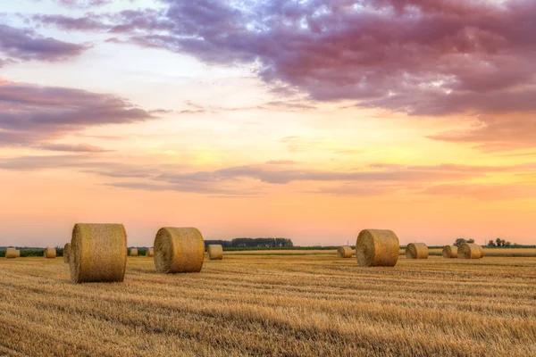 Coucher de soleil sur un champ agricole avec balles de foin — Photo