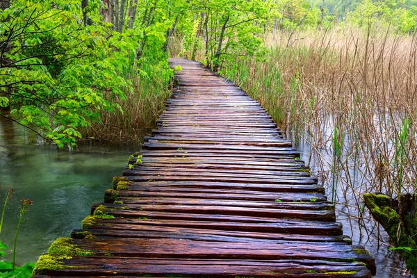 पार्क Plitvice झीलों में बोर्डवॉक — स्टॉक फ़ोटो, इमेज