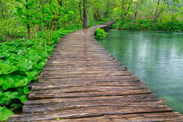 Paseo marítimo en el parque Plitvice lagos — Foto de Stock