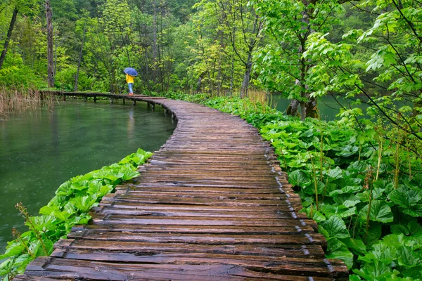 Paseo marítimo en el parque Plitvice lagos — Foto de Stock