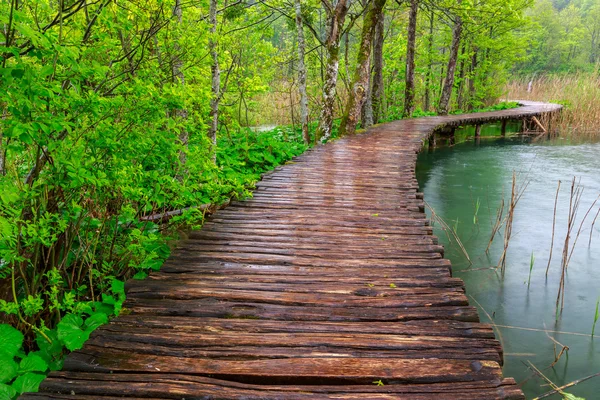 Paseo marítimo en el parque Plitvice lagos — Foto de Stock