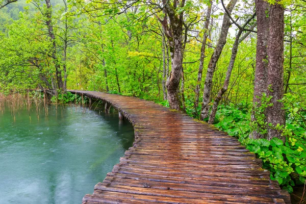 Boardwalk i parken Plitvice søer - Stock-foto