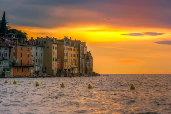 Rovinj casco antiguo por la noche en el mar Adriático — Foto de Stock