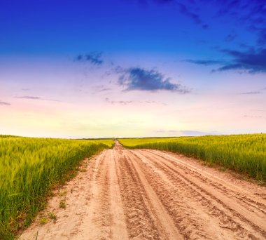 Yaz aylarında çayır