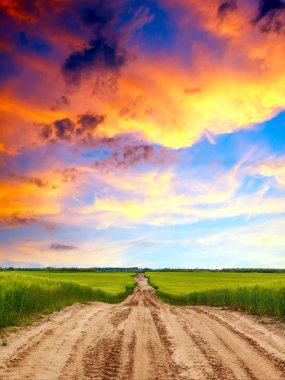 Yaz aylarında çayır