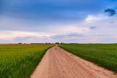 Yaz aylarında çayır