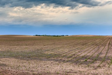 tarıma elverişli arazi