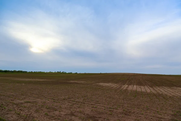 Tierras cultivables — Foto de Stock