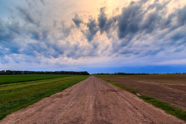 Été dans la prairie — Photo