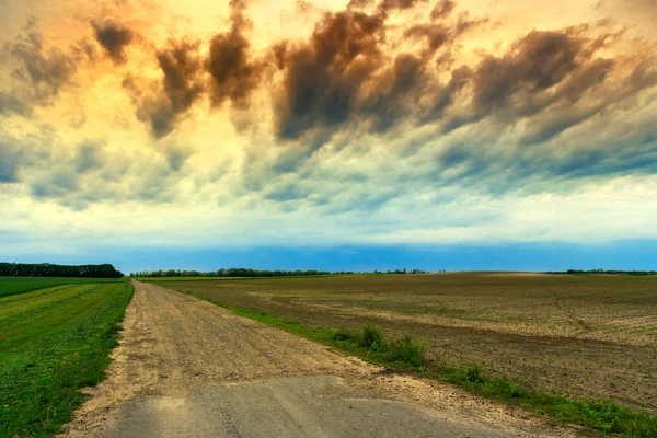 Zomer in de weide — Stockfoto