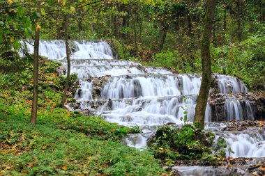 Dağ nehir orman, sonbahar manzara