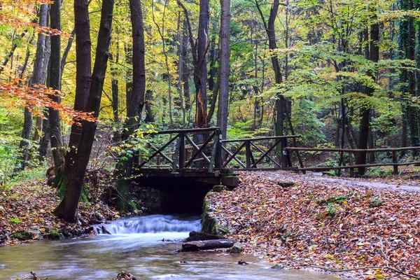 Rio de montanha na floresta, paisagem de outono — Fotografia de Stock