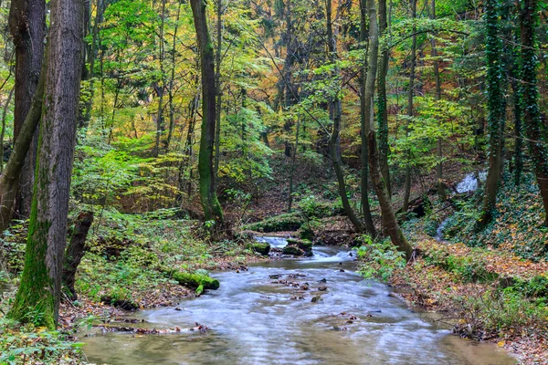 Rio de montanha na floresta, paisagem de outono — Fotografia de Stock