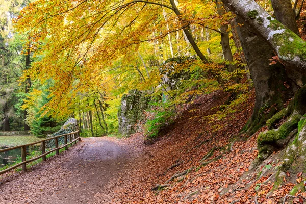 Herfstbos — Stockfoto