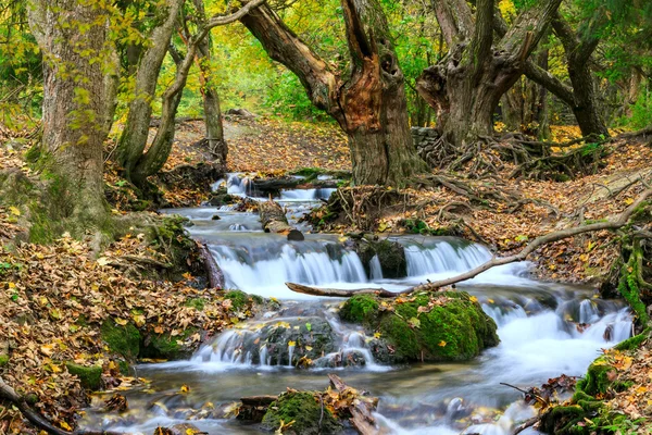 Hegyi folyó erdőben, őszi táj — Stock Fotó