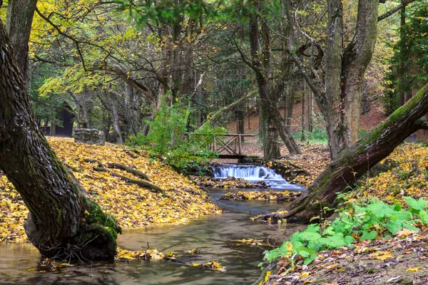 Górskie rzeki w lesie, jesień krajobraz — Zdjęcie stockowe