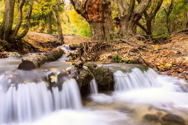 Mountain river in forest, autumn landscape — Stock Photo, Image