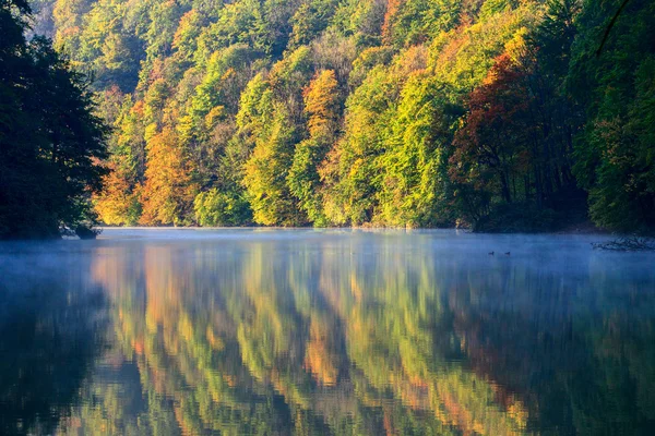 Forest lake morgon i höst — Stockfoto