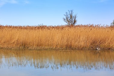 Macaristan 'da Balaton Gölü