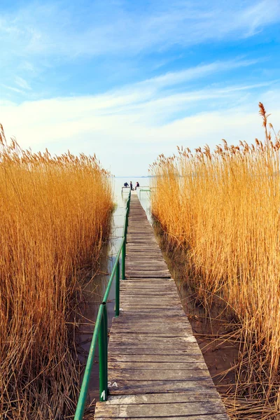 Muelle de madera en el tranquilo lago Balaton —  Fotos de Stock