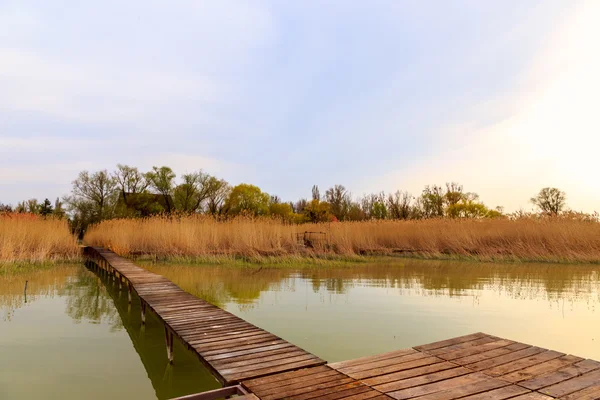 Dřevěné molo v klidné jezero Balaton — Stock fotografie