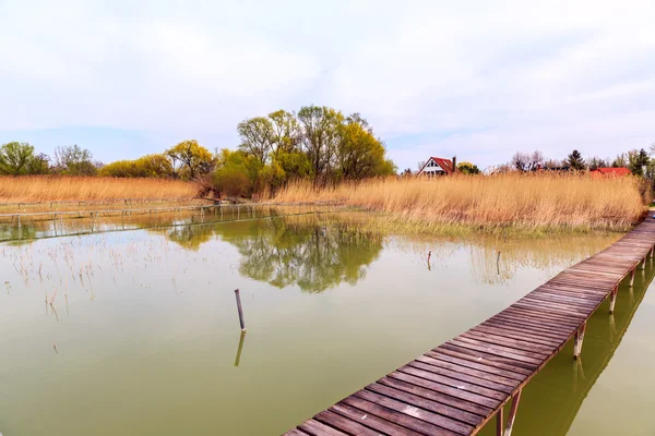 Drewniane molo w spokojnej okolicy nad jeziorem Balaton — Zdjęcie stockowe