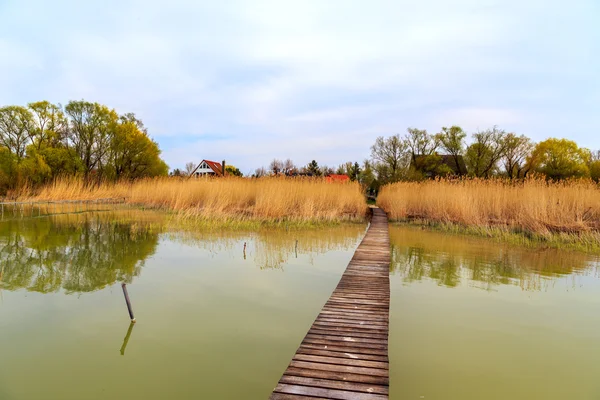 Drewniane molo w spokojnej okolicy nad jeziorem Balaton — Zdjęcie stockowe