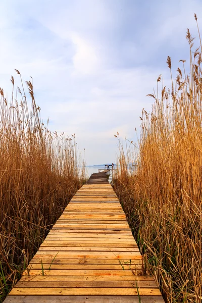 Cais de madeira em lago tranquilo Balaton — Fotografia de Stock