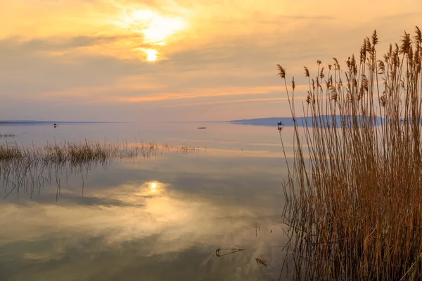 호수 balaton 헝가리 — 스톡 사진