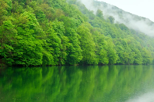 Forest lake Hamori — Stock Photo, Image