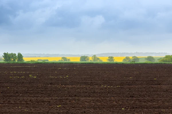 Campo de fazenda na primavera — Fotografia de Stock