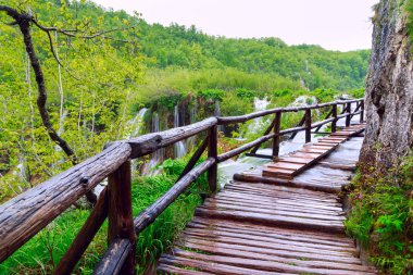 plitvice gölleri Milli Parkı içinde ahşap turist yolu
