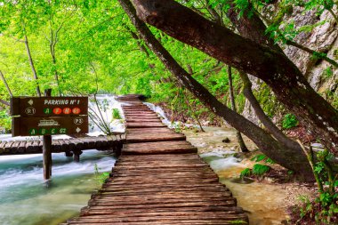 Milli Park Plitvice ahşap yolunda