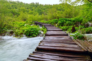 Milli Park Plitvice ahşap yolunda