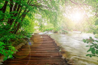 Milli Park Plitvice ahşap yolunda