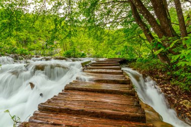 Milli Park Plitvice ahşap yolunda