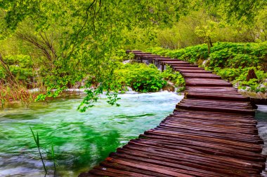 Milli Park Plitvice ahşap yolunda